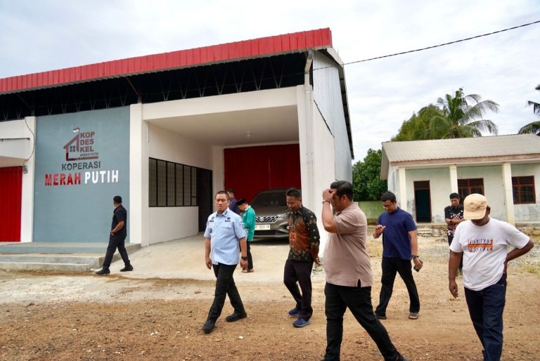 df02fd87-d119-403f-a1a7-49bf27387acf-1536x1027